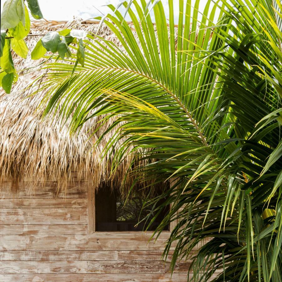 Suyo Cabanas Popoyo | Hotel Suyo El Limon Exterior photo